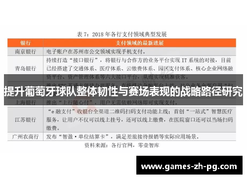 提升葡萄牙球队整体韧性与赛场表现的战略路径研究