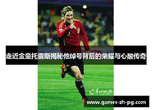走近金童托雷斯揭秘他绰号背后的荣耀与心酸传奇